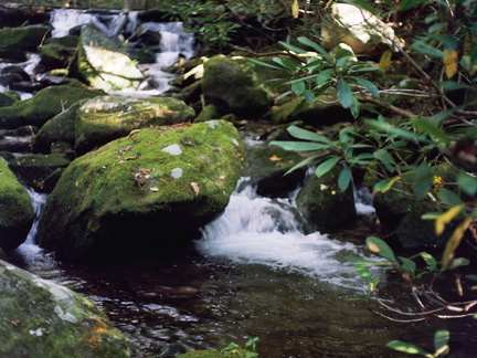 Gabes Mountain Trail